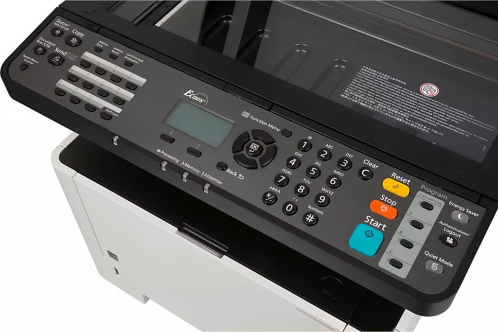 tsz-0451715880_No._8